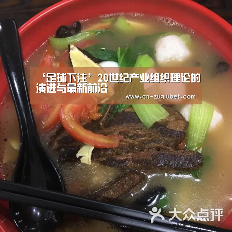‘足球下注’20世纪产业组织理论的演进与最新前沿(图1) 足球下注平台